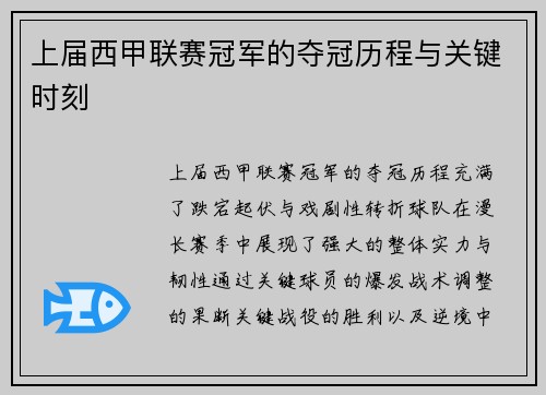 上届西甲联赛冠军的夺冠历程与关键时刻