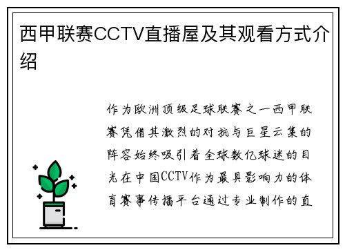 西甲联赛CCTV直播屋及其观看方式介绍