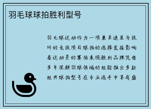 羽毛球球拍胜利型号